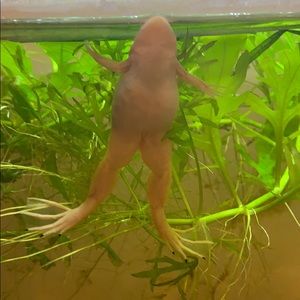 Meet your Posher, Amy